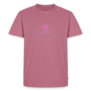 Game over - Männer Premium Bio T-Shirt - Mauve - Vorne - Nico (187cm)