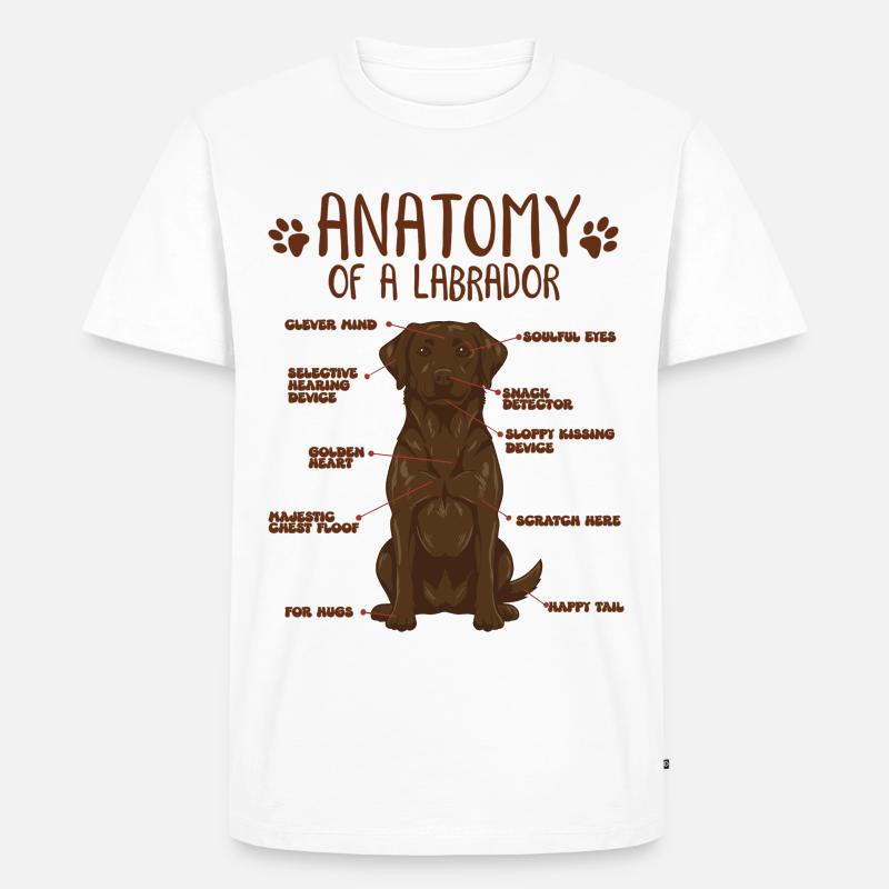 Anatomie eines braunen Labradors - Männer Premium Bio T-Shirt - Weiß