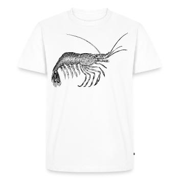 Shrimp Vintage - Men's Premium Organic T-Shirt - white - Front - Nico (187cm)