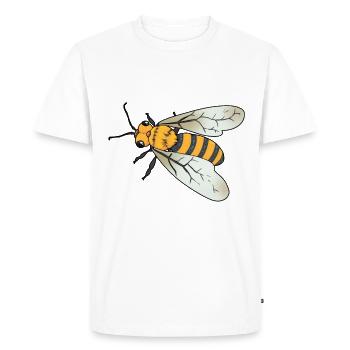 Abeille Insecte Guêpe Écologie Apiculteur de miel - T-shirt Premium bio Homme - blanc - Devant - Nico (187cm)
