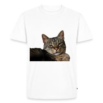 Cat Kitten - Men's Premium Organic T-Shirt - white - Front - Nico (187cm)