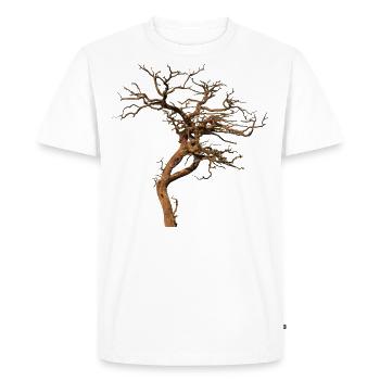 Old tree - Men's Premium Organic T-Shirt - white - Front - Nico (187cm)