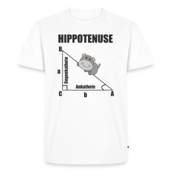 Nerd Geometry Hippotenuse Hypotenuse Math - Men's Premium Organic T-Shirt - white - Front - Nico (187cm)