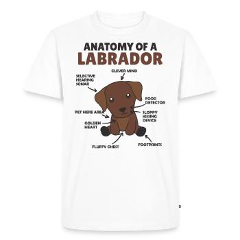 Anatomy of a Labrador Retriever cute dogs - Men's Premium Organic T-Shirt - white - Front - Nico (187cm)