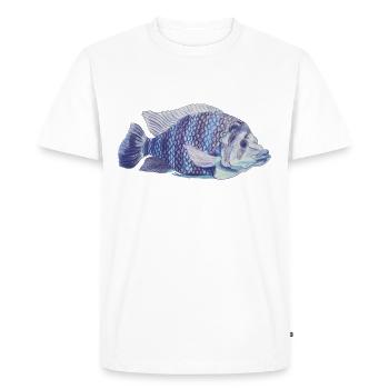 poisson bleu zèbre de mer tilapie zèbre tilapie - T-shirt Premium bio Homme - blanc - Devant - Nico (187cm)