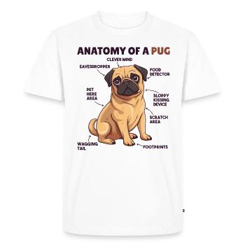 Dog Explanation Anatomy of a Pug - Men's Premium Organic T-Shirt - white - Front - Nico (187cm)