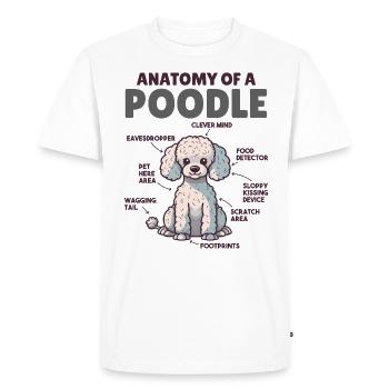 Dog Explanation Anatomy of a Poodle - Men's Premium Organic T-Shirt - white - Front - Nico (187cm)