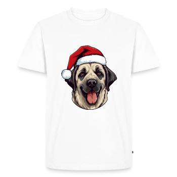 Kangal Chien Portrait Noël - T-shirt Premium bio Homme - blanc - Devant - Nico (187cm)