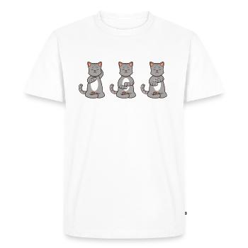 Trois chats au Reiki - T-shirt Premium bio Homme - blanc - Devant - Nico (187cm)