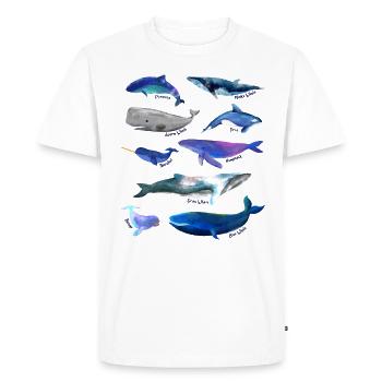 Whales Drawings - Whale Species - Men's Premium Organic T-Shirt - white - Front - Nico (187cm)
