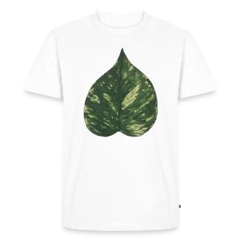 Schismatoglottis leaf plantlover botany nature - Men's Premium Organic T-Shirt - white - Front - Nico (187cm)