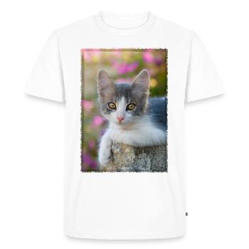 chaton gris-blanc mignon - T-shirt Premium bio Homme - blanc - Devant - Nico (187cm)