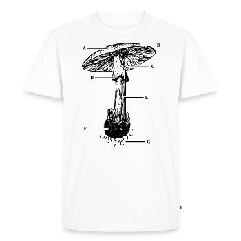 Mushroom Anatomy CottageCore Nature Design - T-shirt Premium bio Homme - blanc - Devant - Nico (187cm)