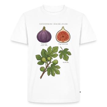 Planche Botanique Figuier Ficus Carica  - T-shirt Premium bio Homme - blanc - Devant - Nico (187cm)