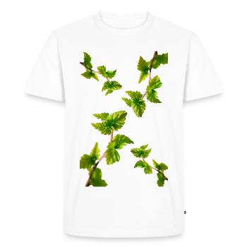 BIRCH - Men's Premium Organic T-Shirt - white - Front - Nico (187cm)