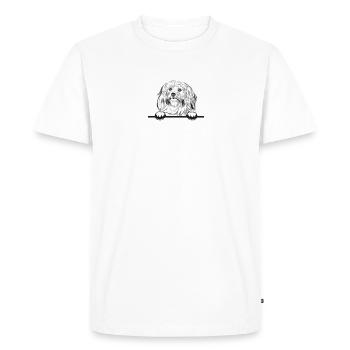 Cadeaux pour les amoureux des chiens bichons havanais - T-shirt Premium bio Homme - blanc - Devant - Nico (187cm)