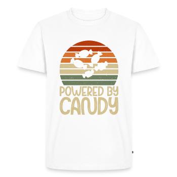 Candy Gift - Men's Premium Organic T-Shirt - white - Front - Nico (187cm)