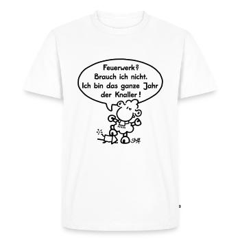 Feuerwerk? Brauch ich nicht. Ich bin das ganze Jah - Männer Premium Bio T-Shirt - Weiß - Vorne - Nico (187cm)