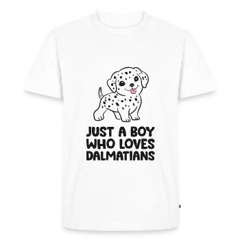 Chien dalmatien Juste un garçon qui aime les dalmatiens - T-shirt Premium bio Homme - blanc - Devant - Nico (187cm)
