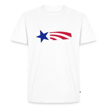 Star and Stripes - T-shirt Premium bio Homme - blanc - Devant - Nico (187cm)