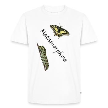 Machaon à la chenille, métamorphose - T-shirt Premium bio Homme - blanc - Devant - Nico (187cm)