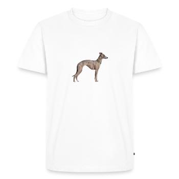 Whippet Hund - Whippet - Männer Premium Bio T-Shirt - Weiß - Vorne - Nico (187cm)