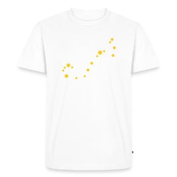 Carpe Diem use the day constellation Scorpio sky - Men's Premium Organic T-Shirt - white - Front - Nico (187cm)