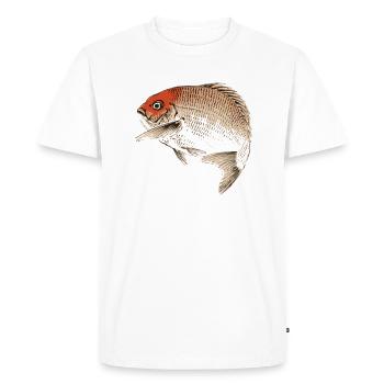 Japanese sea bream (konobairei) - Men's Premium Organic T-Shirt - white - Front - Nico (187cm)
