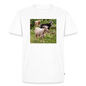 Mountain Goat in the national park Park Kos Island - Men's Premium Organic T-Shirt - white - Front - Nico (187cm)