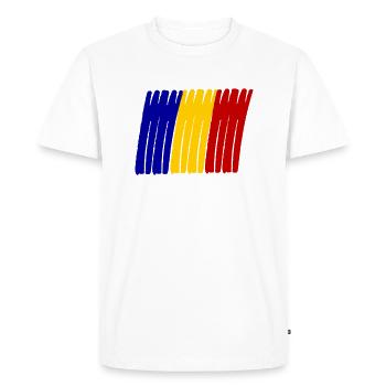 Drapeau peint de la Roumanie - T-shirt Premium bio Homme - blanc - Devant - Nico (187cm)