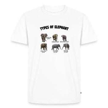 Types of Elephant Elephants of the World Funny - Men's Premium Organic T-Shirt - white - Front - Nico (187cm)
