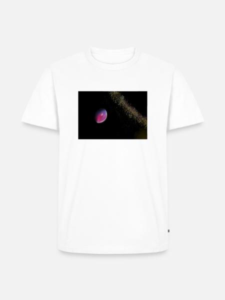 Catch the Stars - Männer Premium Bio T-Shirt - Weiß