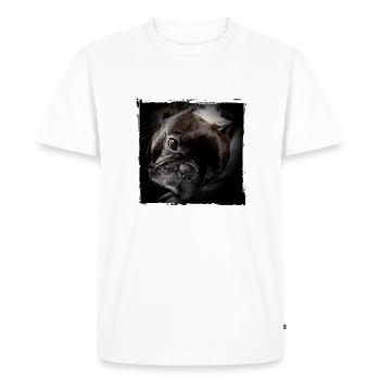 Frenchie - Men's Premium Organic T-Shirt - white - Front - Nico (187cm)