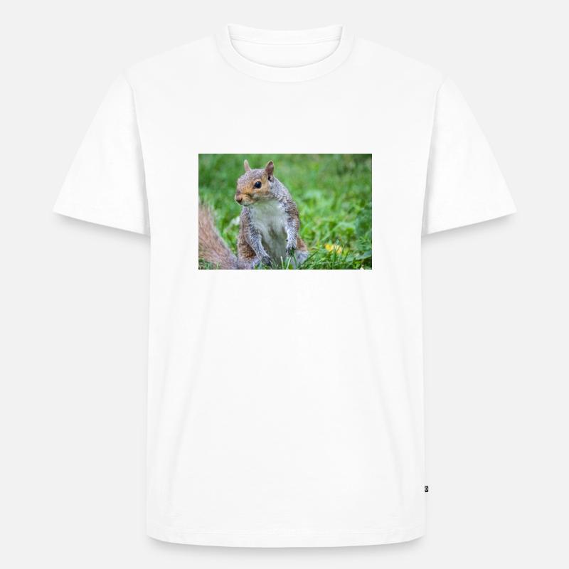 Grey squirrel Grauhörnchen Sciurus carolinensis - Men's Premium Organic T-Shirt - white