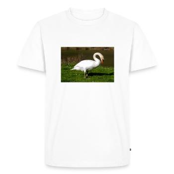 Mute Swan (in german Höckerschwan) Cygnus olor - Men's Premium Organic T-Shirt - white - Front - Nico (187cm)