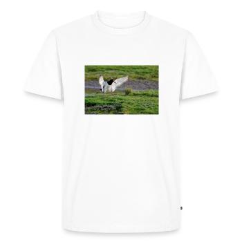 Oyster Catcher - Men's Premium Organic T-Shirt - white - Front - Nico (187cm)