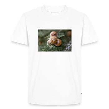 Cyprès d’Italie aussi cyprès de Méditerranée - T-shirt Premium bio Homme - blanc - Devant - Nico (187cm)
