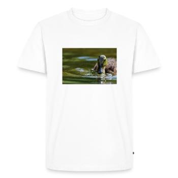 000 1170 DxO - Men's Premium Organic T-Shirt - white - Front - Nico (187cm)