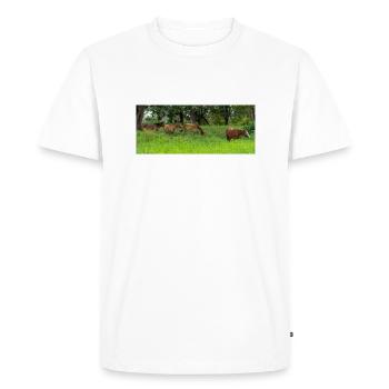 horses in the meadow - Men's Premium Organic T-Shirt - white - Front - Nico (187cm)