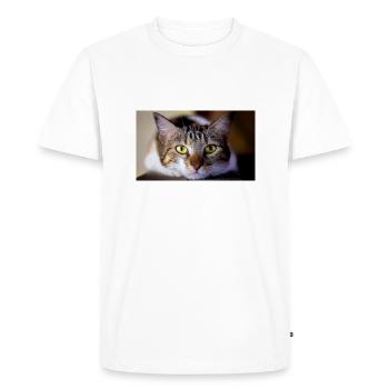 the cat with the sweet look - Men's Premium Organic T-Shirt - white - Front - Nico (187cm)