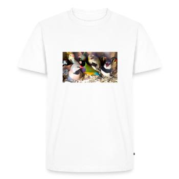 Mélange de pinsons - T-shirt Premium bio Homme - blanc - Devant - Nico (187cm)