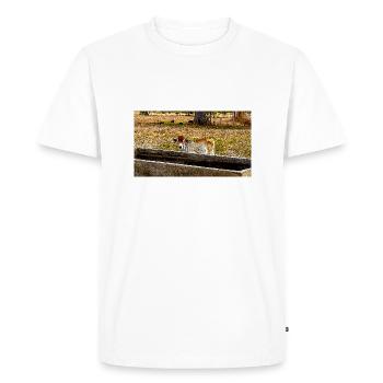 le petit veau - T-shirt Premium bio Homme - blanc - Devant - Nico (187cm)