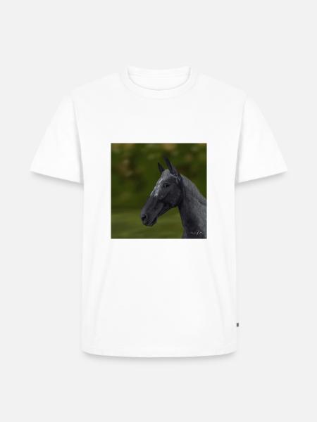 Appaloosa horse - Men's Premium Organic T-Shirt -