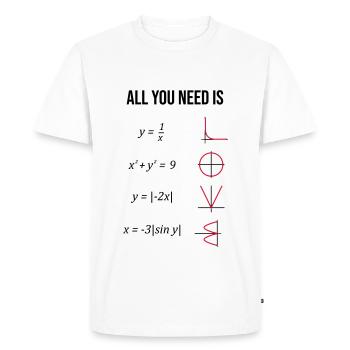 Mathe. Mathelehrer. Mathematiker. Geschenk - T-shirt Premium bio Homme - blanc - Devant - Nico (187cm)