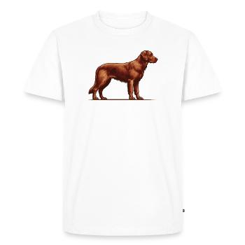 Retriever de la baie de Chesapeake - T-shirt Premium bio Homme - blanc - Devant - Nico (187cm)