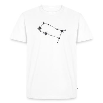 Gémeaux Étoile Constellation Signe du zodiaque Noir et gris - T-shirt Premium bio Homme - blanc - Devant - Nico (187cm)