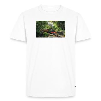 Ffestiniog Idyll - T-shirt Premium bio Homme - blanc - Devant - Nico (187cm)
