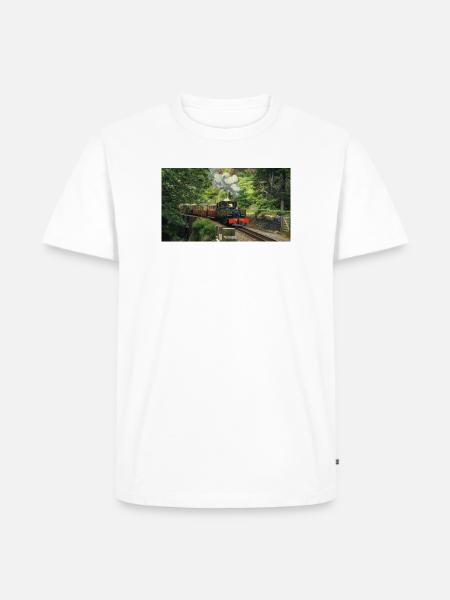 Ffestiniog Idyll - Men's Premium Organic T-Shirt - white