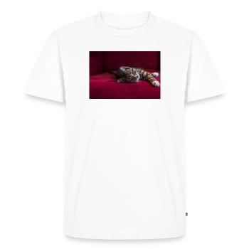 Cute tabby baby cat, lying, photography - Men's Premium Organic T-Shirt - white - Front - Nico (187cm)