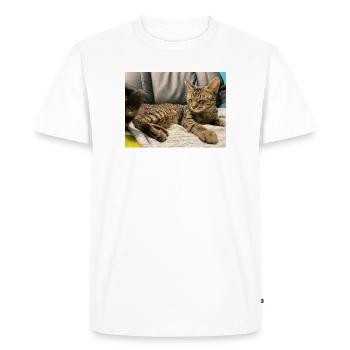 Cozy tiger cat in the light - Men's Premium Organic T-Shirt - white - Front - Nico (187cm)